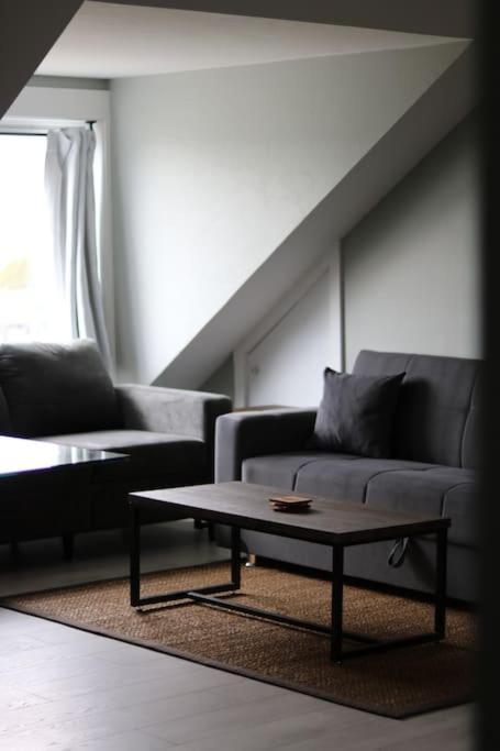 Unique Modern Luxury 2 Bedroom Apartment Rental Chapleau Екстер'єр фото